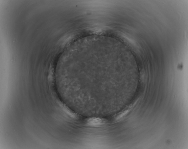 X0000096390181200802071546