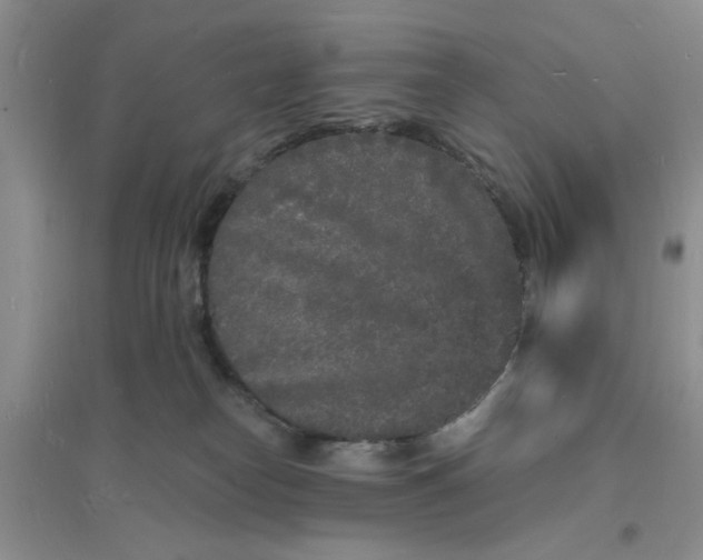 X0000096390182200802071546