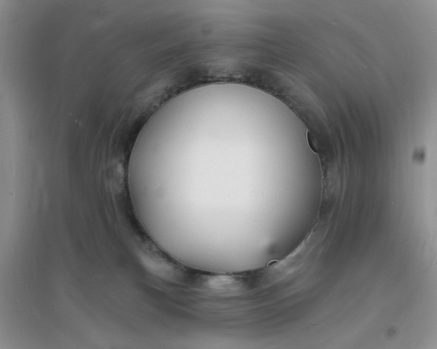 X0000096390183200802071546
