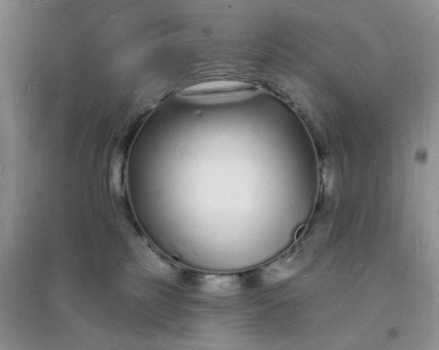 X0000096390185200802071546