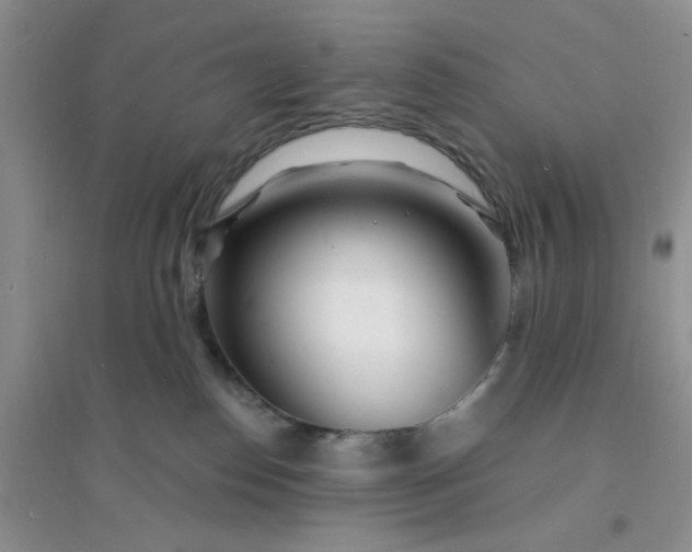 X0000096390186200802071546