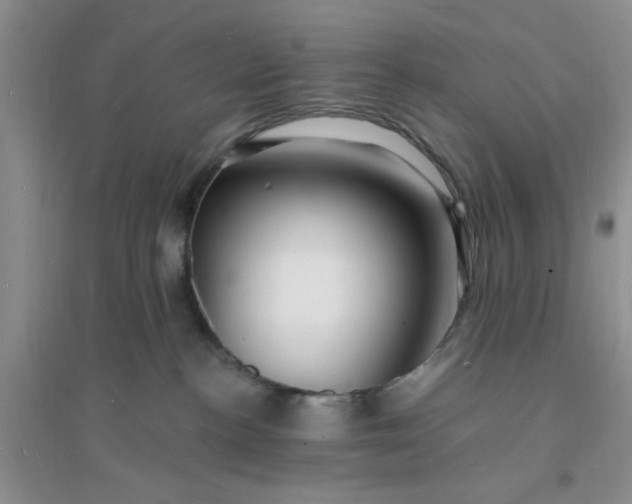 X0000096390188200802071546