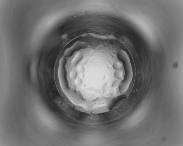 X0000096390189200802071546