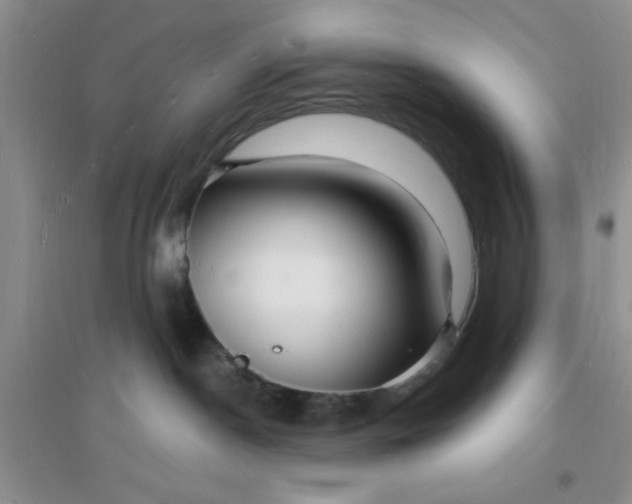 X0000096390190200802071546