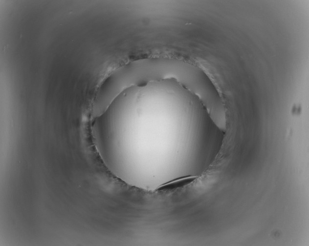 X0000096390192200802071546