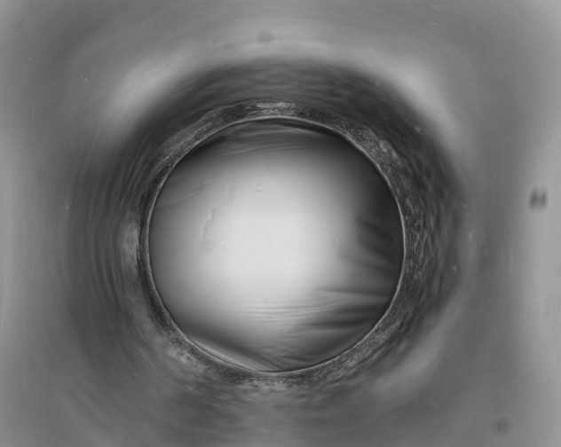X0000096390194200802071545