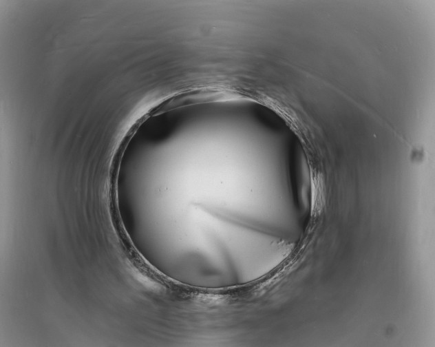 X0000096390195200802071545