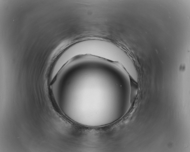 X0000096390197200802071545