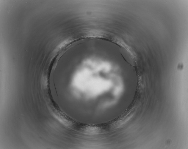 X0000096390203200802071545