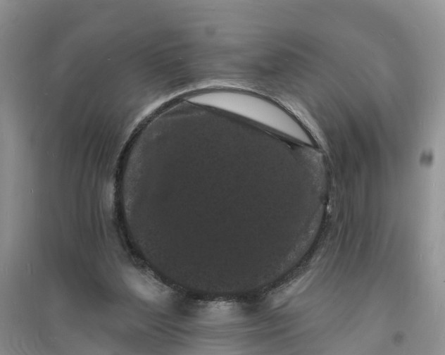 X0000096390204200802071545