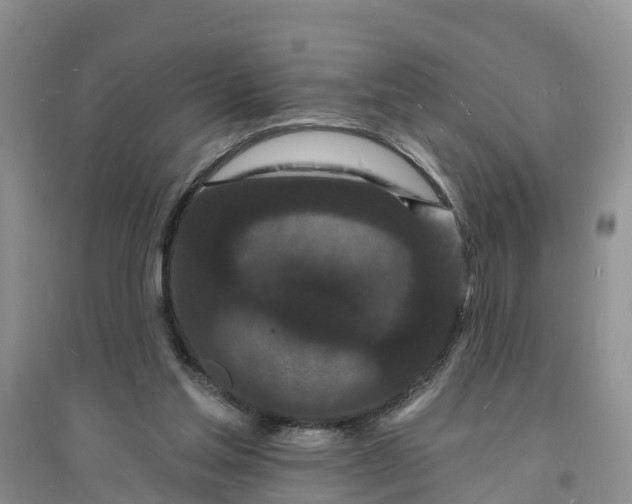 X0000096390205200802071545