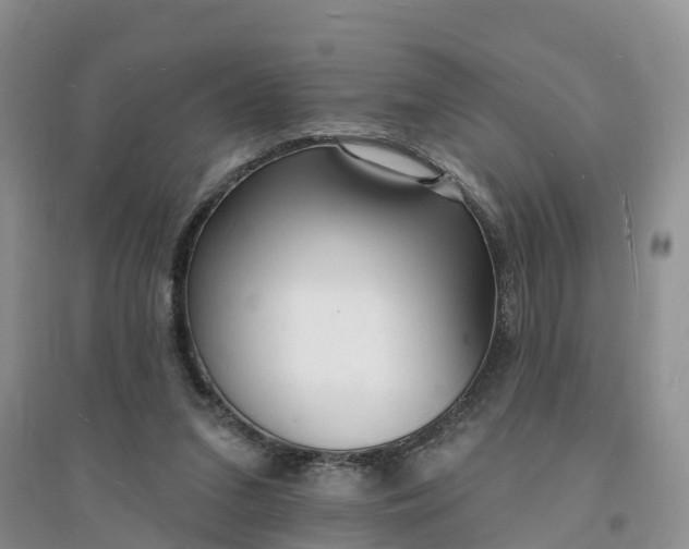 X0000096390207200802071545