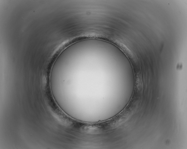 X0000096390208200802071545