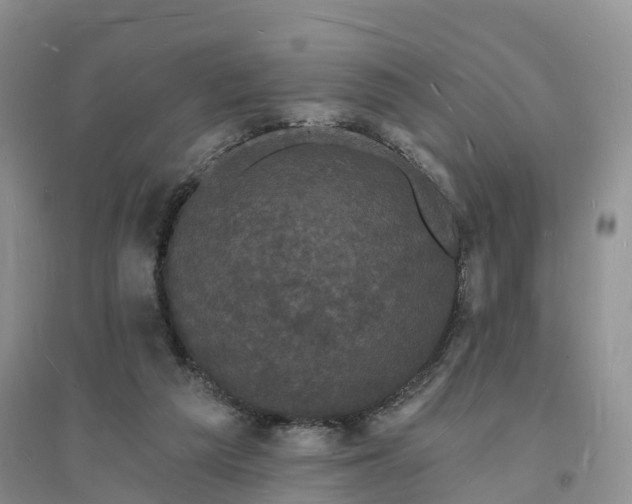 X0000096390209200802071545