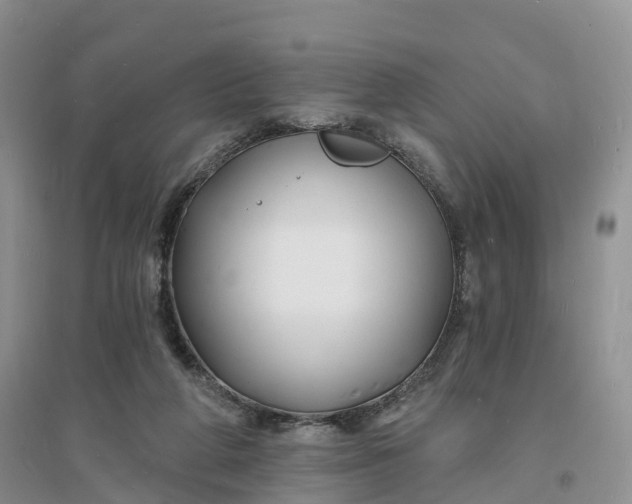 X0000096390210200802071545