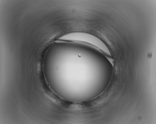 X0000096390211200802071545