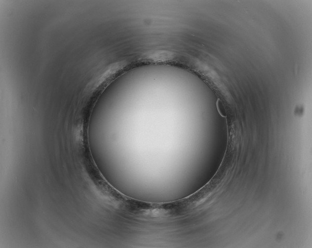 X0000096390212200802071545