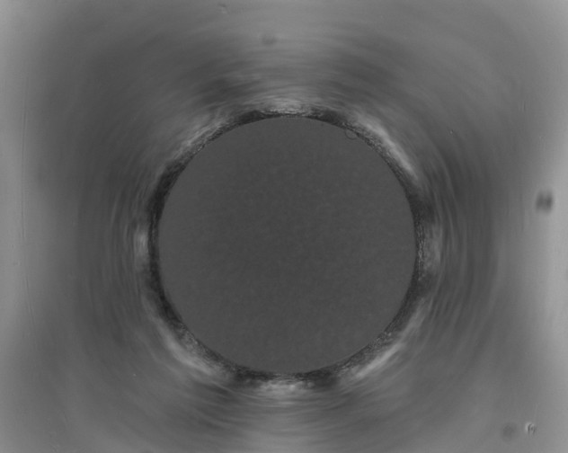 X0000096390213200802071545