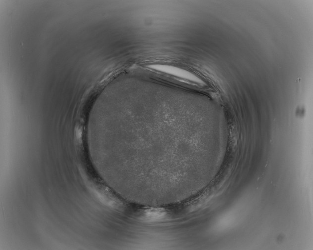 X0000096390214200802071545