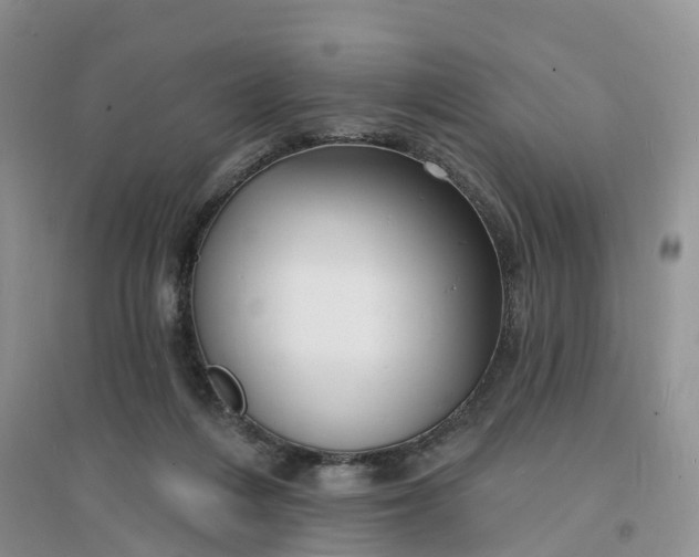 X0000096390216200802071545