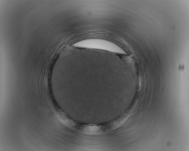 X0000096390217200802071545