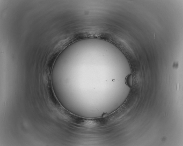 X0000096390218200802071545