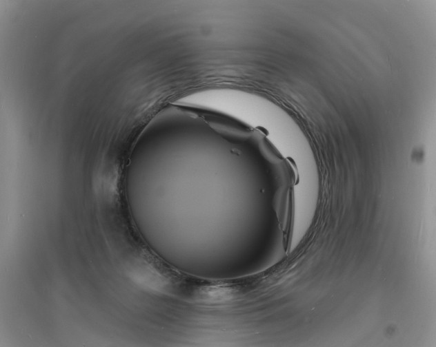 X0000096390219200802071545