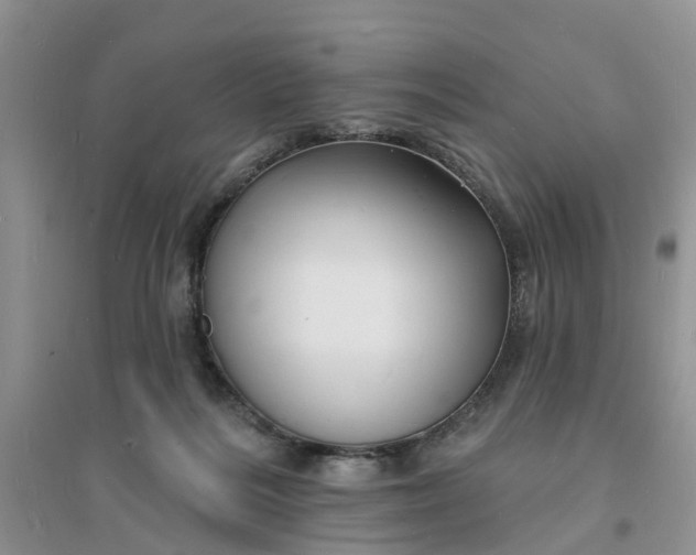 X0000096390220200802071545