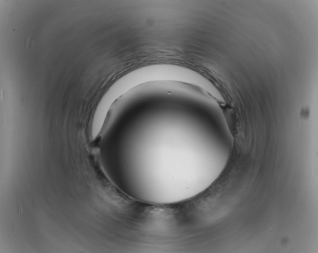 X0000096390221200802071545