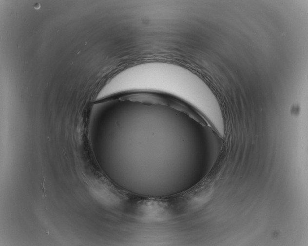 X0000096390223200802071545