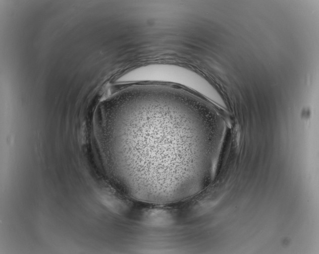 X0000096390224200802071545