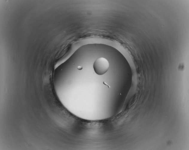 X0000096390225200802071545