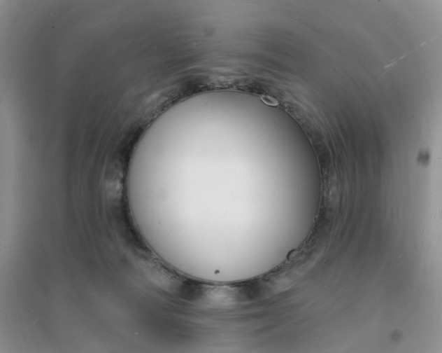 X0000096390226200802071545