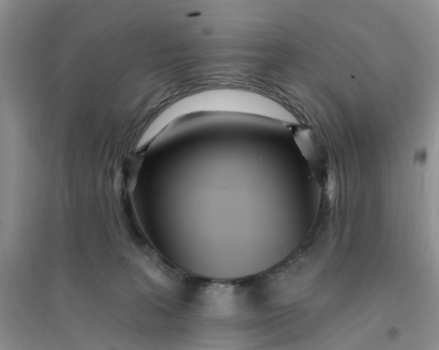 X0000096390227200802071545