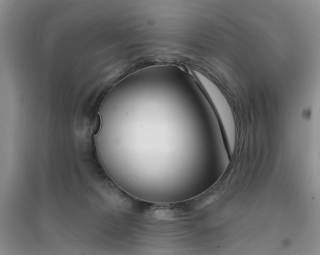 X0000096390228200802071545