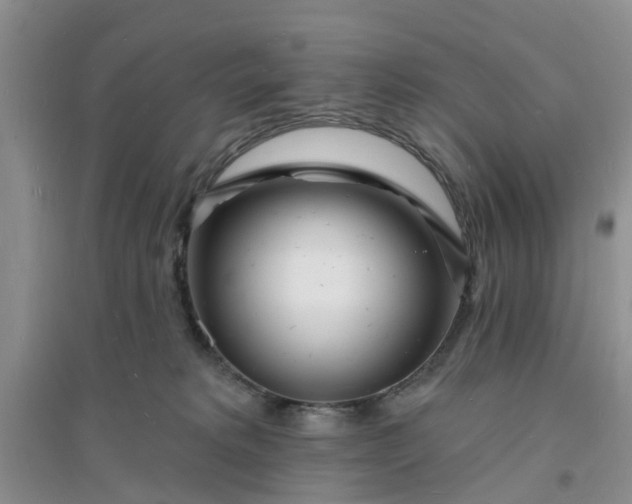 X0000096390229200802071545