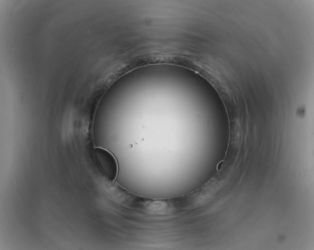 X0000096390230200802071545