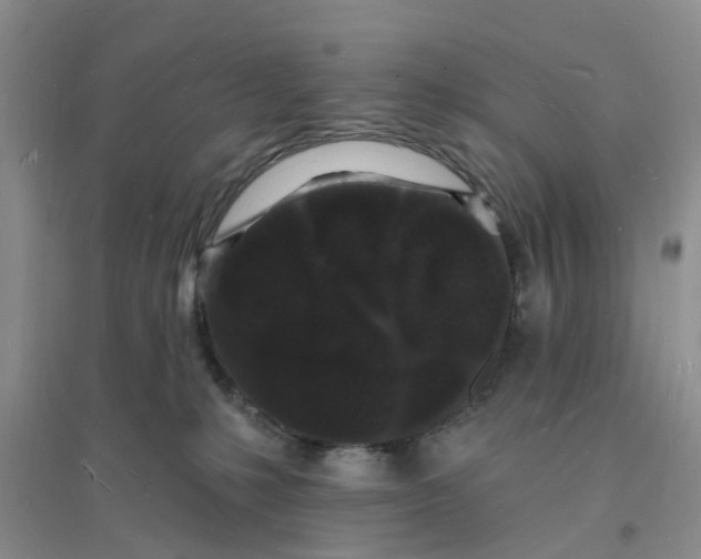 X0000096390231200802071545