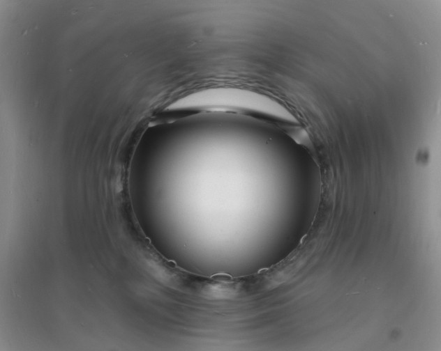 X0000096390232200802071545