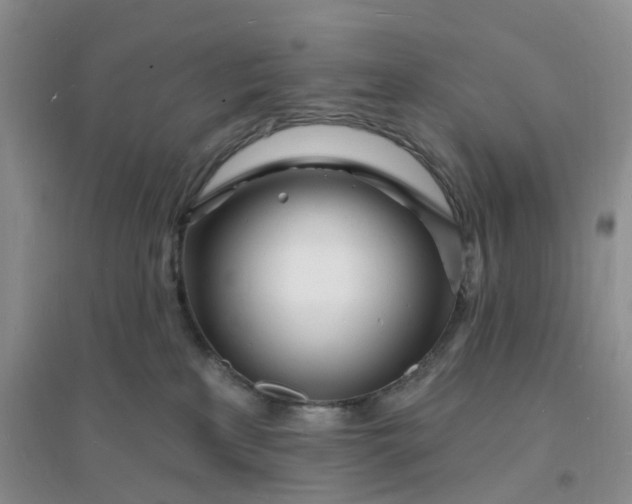 X0000096390233200802071545