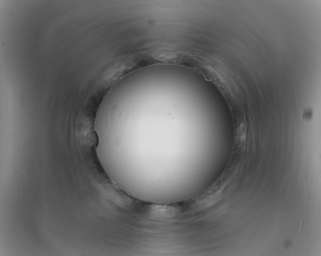 X0000096390234200802071545