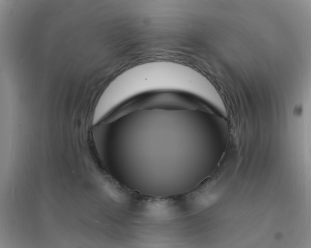 X0000096390235200802071545