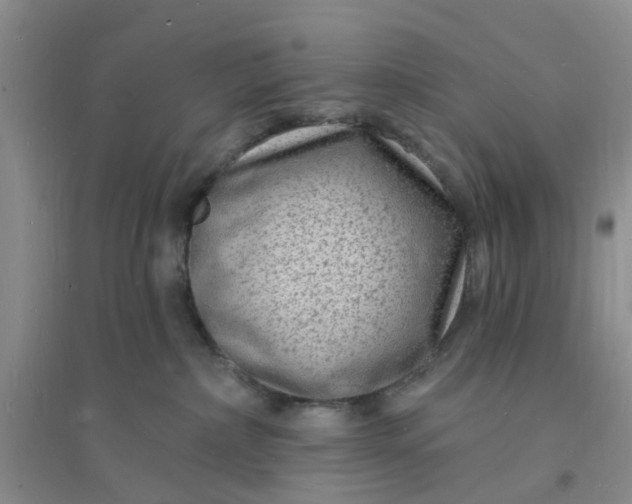 X0000096390236200802071545