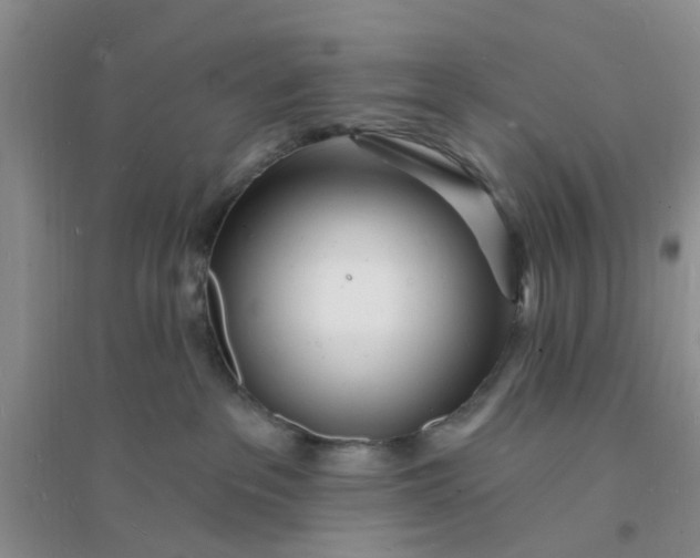 X0000096390237200802071545