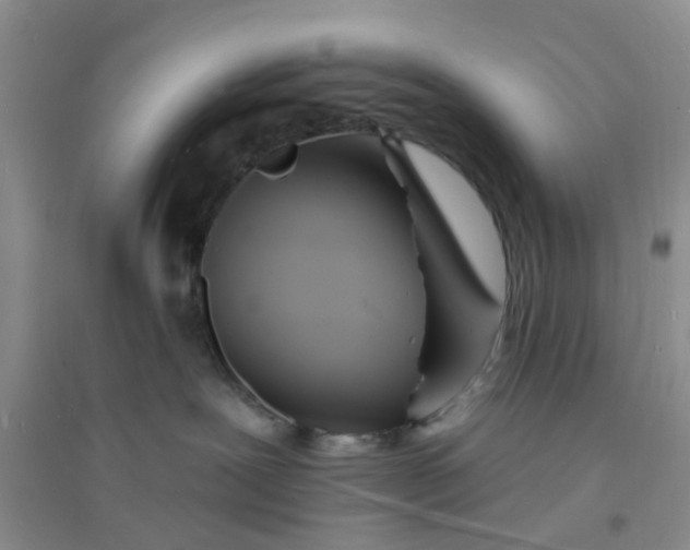 X0000096390239200802071545