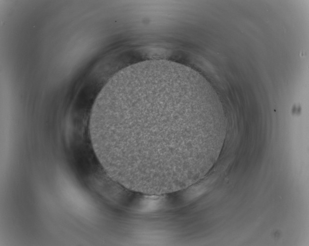 X0000096390240200802071544