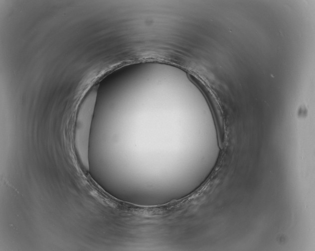 X0000096390241200802071544