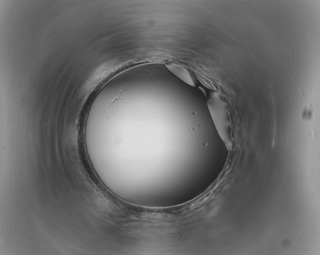X0000096390242200802071544