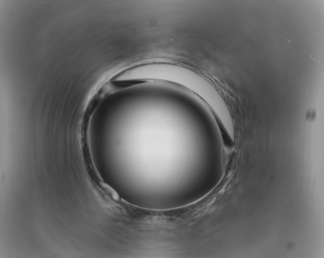 X0000096390244200802071544