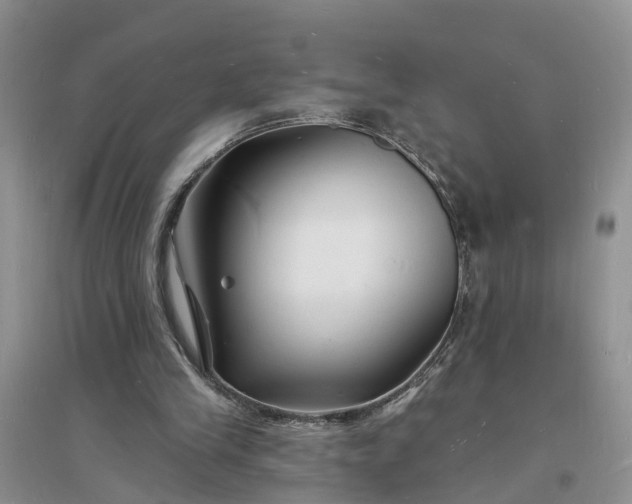 X0000096390245200802071544